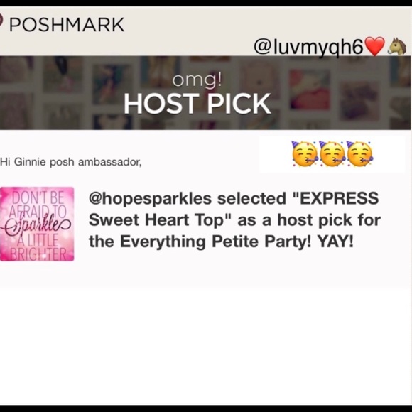 EXPRESS Semi Sheer Top🎉4X HP🎉 - Picture 3 of 5